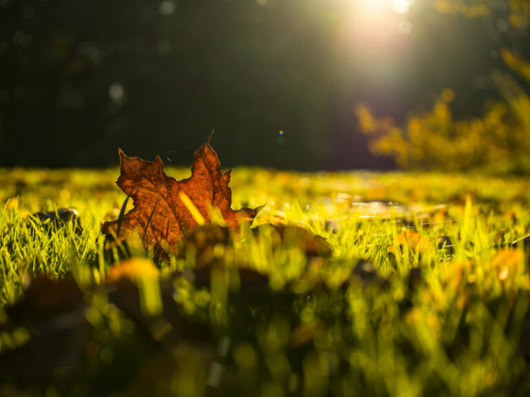 Oktober – Abschluss & Vorbereitung